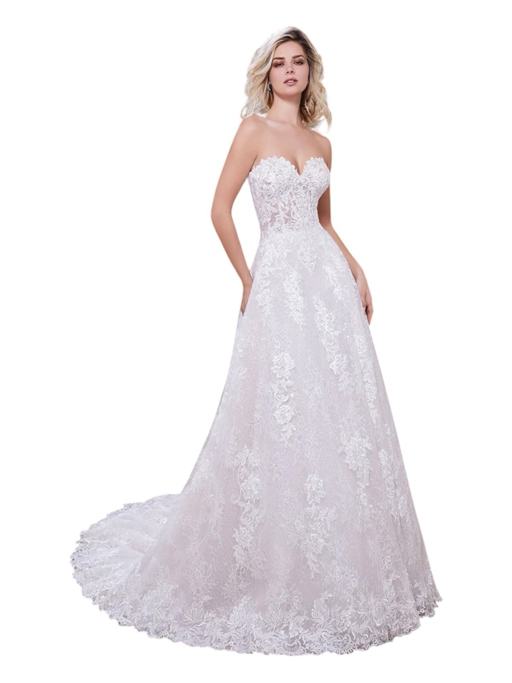 Elegant Lace Wedding Gown